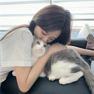 放电纽约